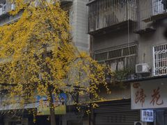 -酒城小笼包(马王庙店)