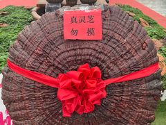 -长春农业博览园