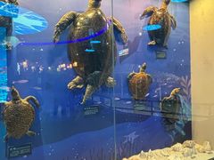 -福州罗源湾海洋世界旅游区