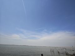 -上海璞麗酒店