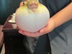 -永安鱼庄·镇江菜(东吴路店)