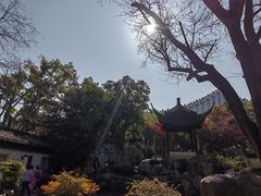 -上海醉白池公园