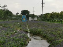 -广东花都香草世界旅游度假区