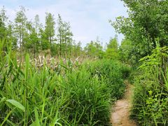 -白鹭湾湿地公园