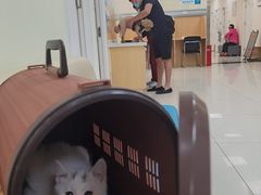 -美联众合动物医院·24h京西诊疗中心