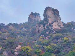 -大岭沟猕猴桃谷风景区