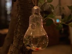 -Africafe(非洲咖啡)