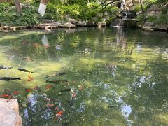 -济南大明湖景区