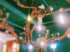 -梧桐树下(云锦世家店)