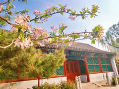 -元大都城垣遗址公园