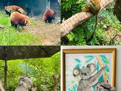 -红山森林动物园