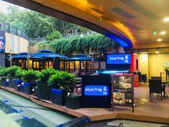 -bluefrog蓝蛙(水游城店)