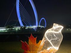 -南京眼步行桥