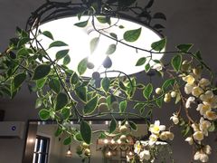 -春风·有糖(崇宁路店)