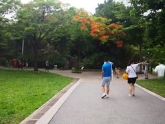 -晓港公园