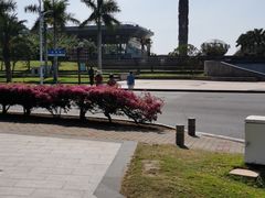 -亚龙湾中心广场