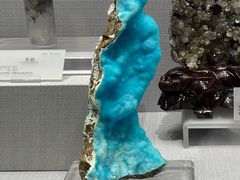 -湖南省地质博物馆