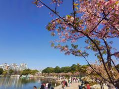 -新江湾城公园