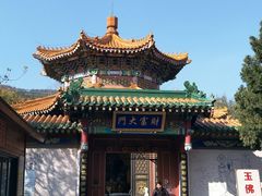 -龙口南山旅游景区