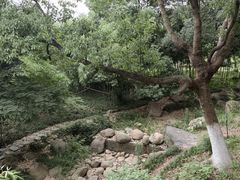 -新洲生态园