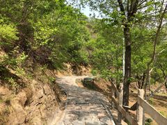 -大岭沟猕猴桃谷风景区