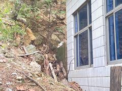 -鲁山国家森林公园