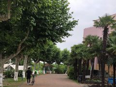 -太阳岛度假酒店