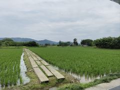 -良渚古城遗址公园