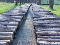 -黄海国家森林公园