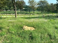 -上海野生动物园