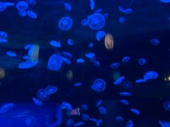 -台州海洋世界