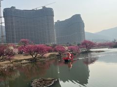 -长兴太湖图影湿地文化园