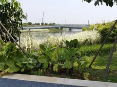 -琅岐红光湖公园
