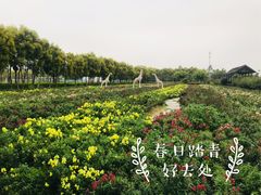 -广东花都香草世界旅游度假区