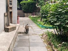 -正阳书局(西四南大街店)