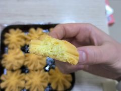 -珍妮曲奇聪明小熊(上环店)