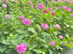 -常州古运河南大街文化旅游区-人民公园