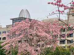 -风云岭森林公园