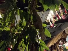 -火咂咂竹筒宴(告庄店)