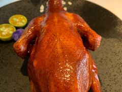 乳鸽-悦景酒家(罗湖店)