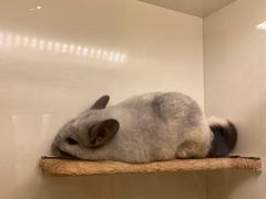 -龙猫仔乐园(惠福东路店)