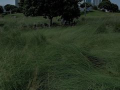 -红花山公园