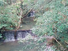 -大埔公路-马料水段香港中文大学(公交站)