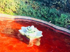 -杭州第一世界大酒店·云曼温泉
