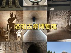 -洛阳古墓博物馆
