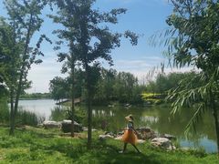 -马家湾湿地公园