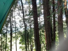 -武陵山森林公园