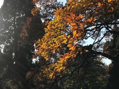 -八大关景区