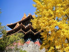 -东华门大街小区