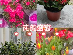 -循礼门鲜花花市(武汉循礼门店)